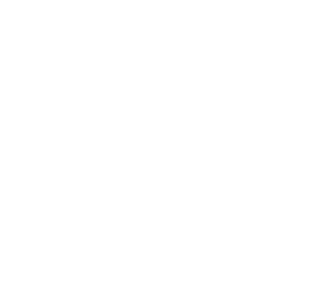 Image footer